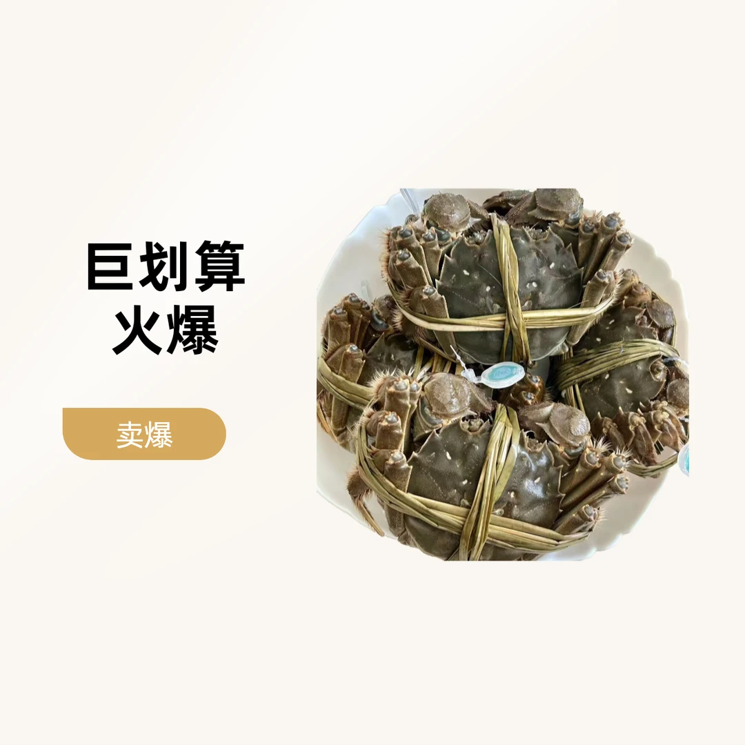 江苏大闸蟹一只2.5-3两母蟹现称现改价