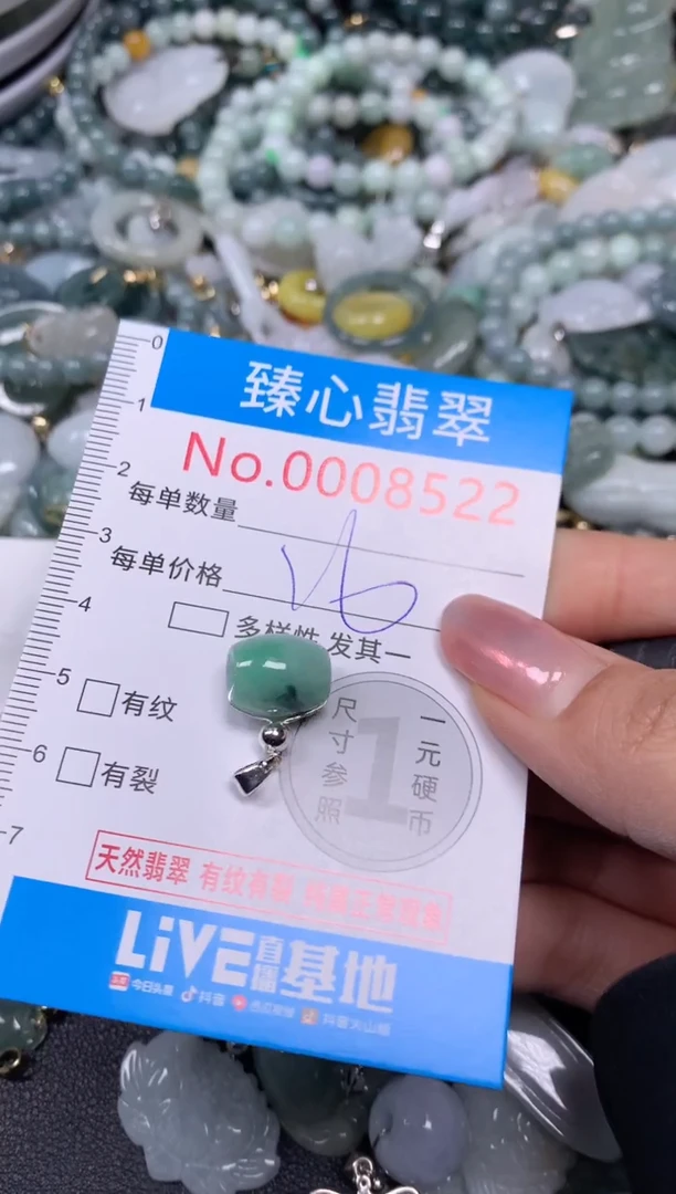 【闪购商品】翡翠颈饰未镶嵌含绳0008522