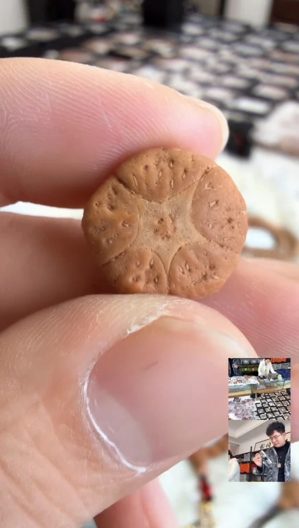 吊坠凤眼菩提4177顶珠已打孔