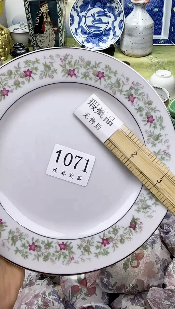 瓷片蘭*           1071