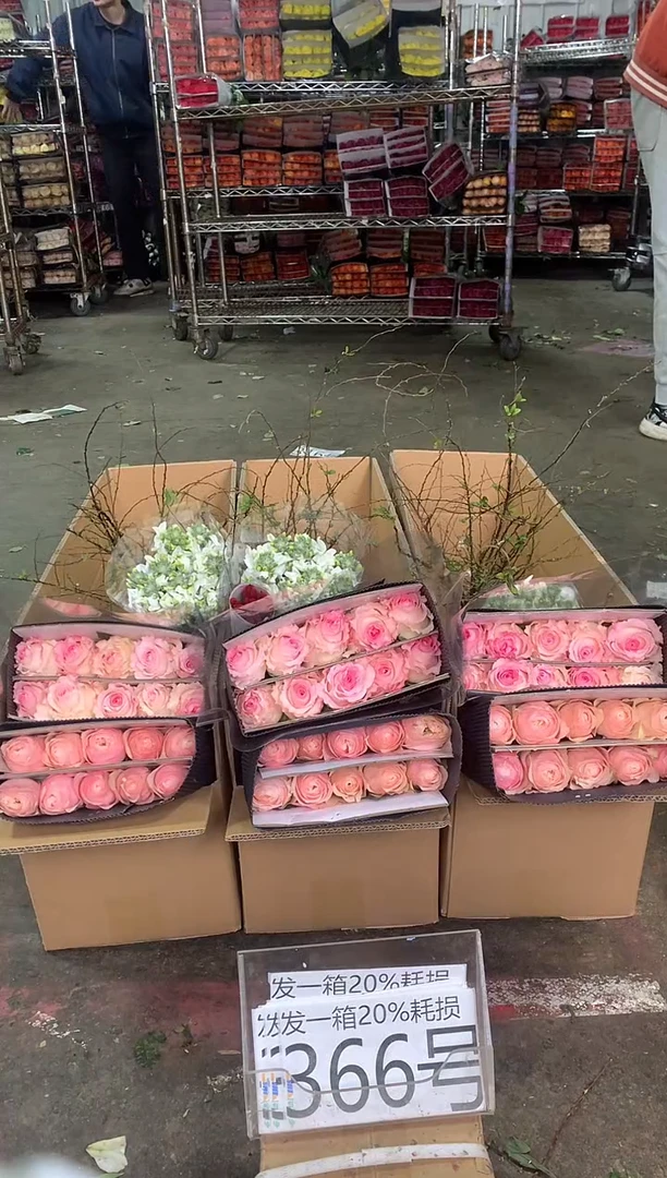 366号♥中通含20%耗损发一箱鲜花