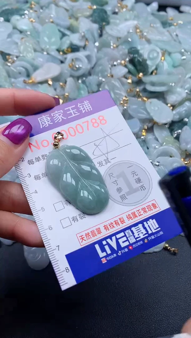 颈饰未镶嵌翡翠788