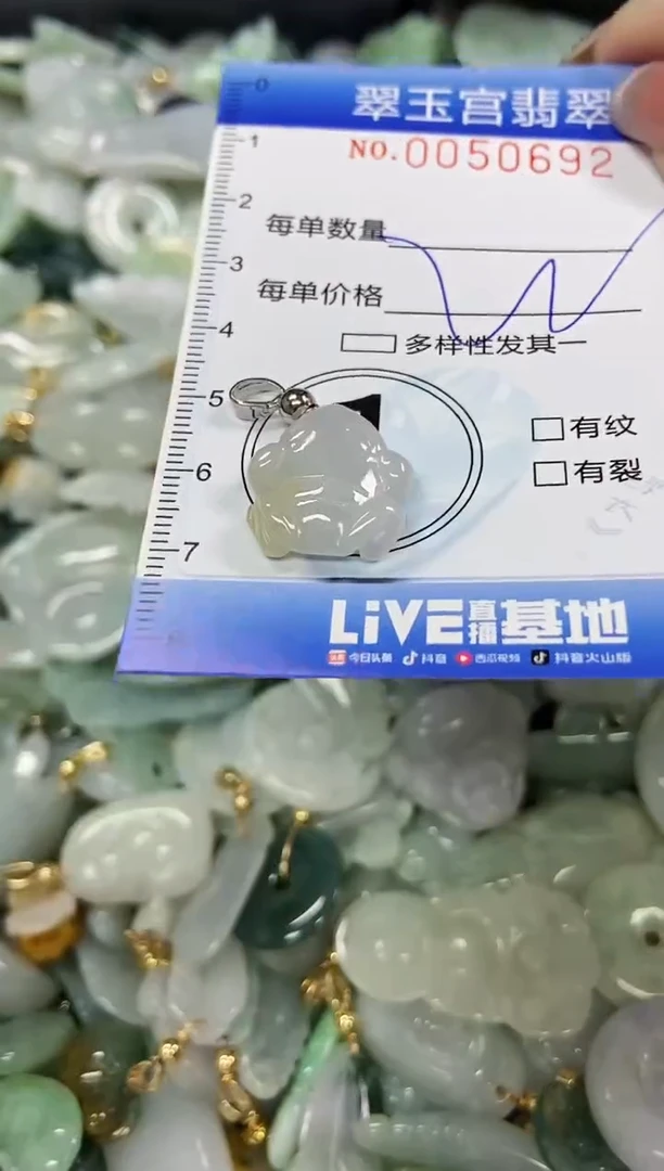 【闪购商品】翡翠颈饰未镶嵌闪购0050692