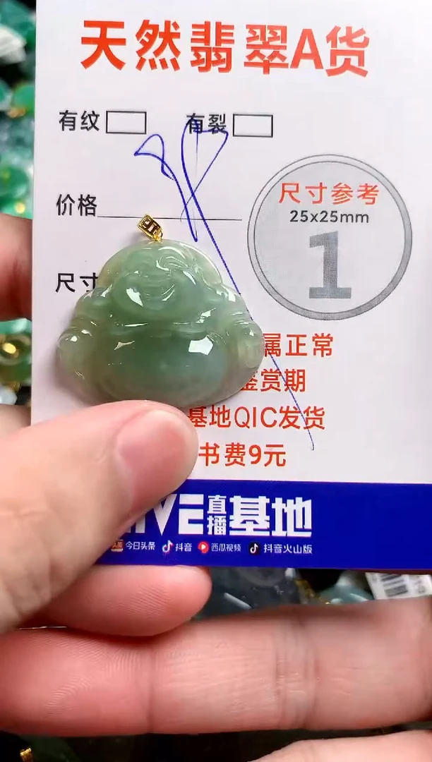 翡翠18K金镶嵌颈饰23000077