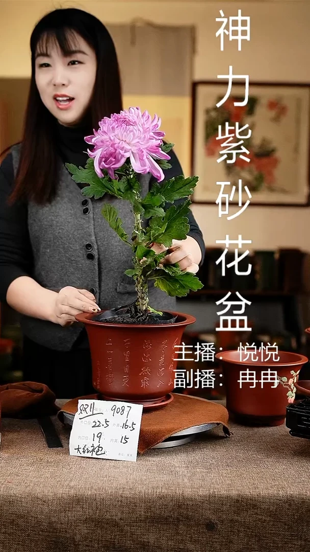 紫砂花盆花卉工艺9087+z