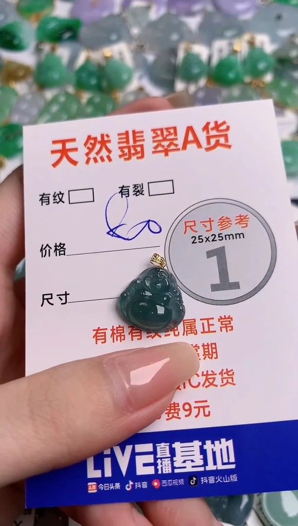 翡翠18K金镶嵌颈饰23000871