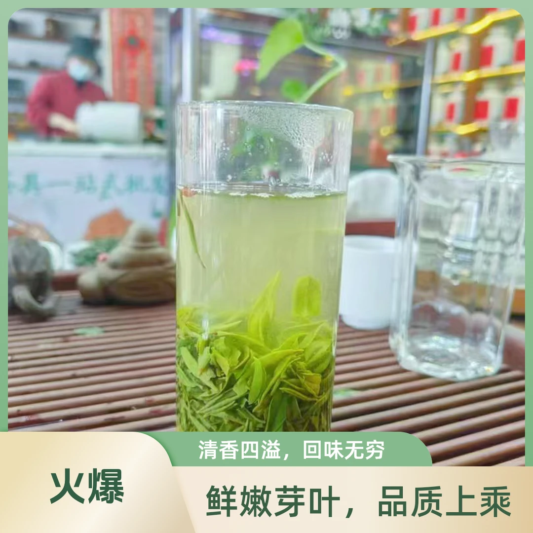 高山毛尖2025新茶鲜香栗香春茶手工绿茶散称茶叶