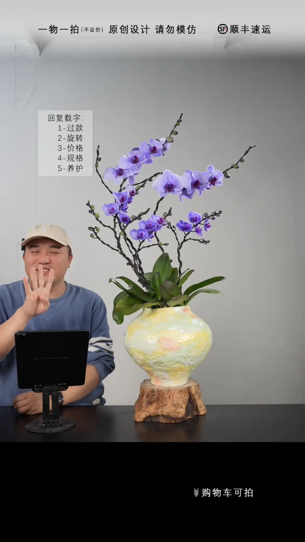 【闪购商品】【一物一拍】艺术盆景