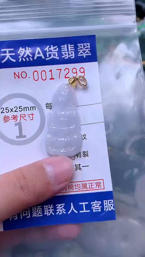 吊坠(赠链)未镶嵌翡翠1