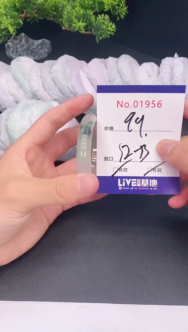 未镶嵌手镯翡翠01956