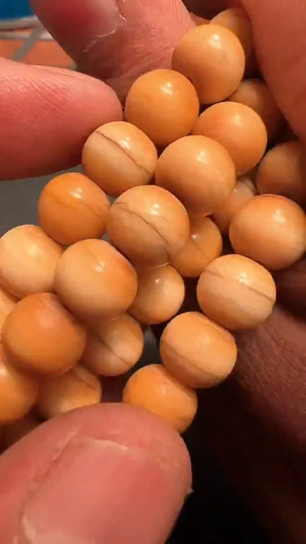 高白念珠高白念珠