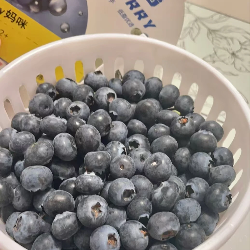 【一桶】[Y]迷迭香蓝莓 桶/7两 仅太原晋中吕梁忻州可拍