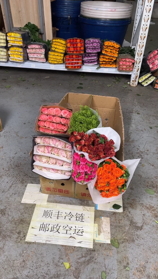 粉红20枝+戴安娜20枝+巧克力10枝+苏菲10枝+橙芭比10枝+绿林草