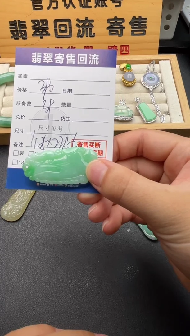 颈饰未镶嵌翡翠10146740