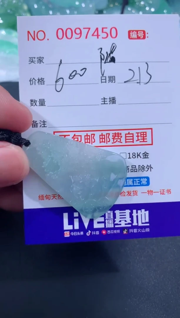 【闪购商品】翡翠颈饰未镶嵌随风