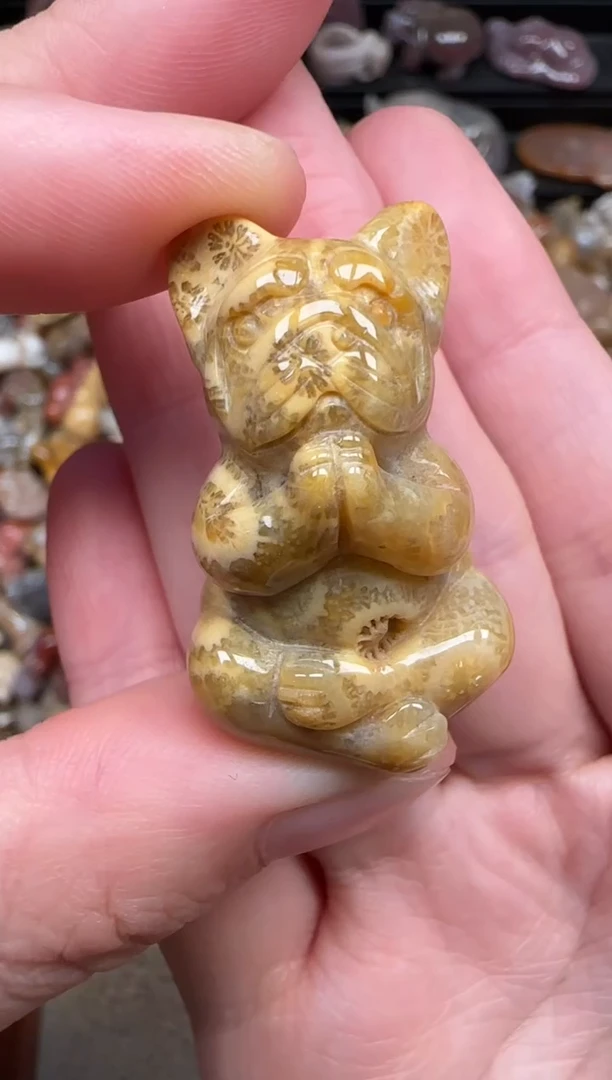 颈饰未镶嵌硅化珊瑚（珊瑚玉）736