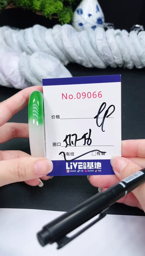 未镶嵌手镯翡翠9066