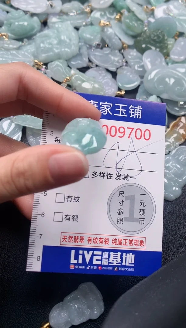 颈饰未镶嵌翡翠9700