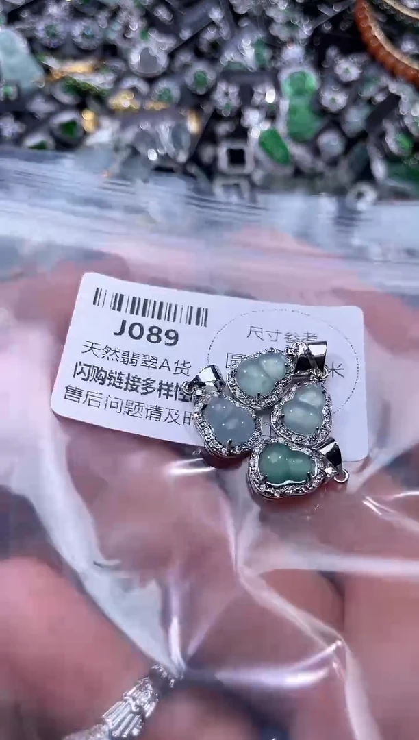 【闪购商品】翡翠颈饰未镶嵌J089多样性发其一