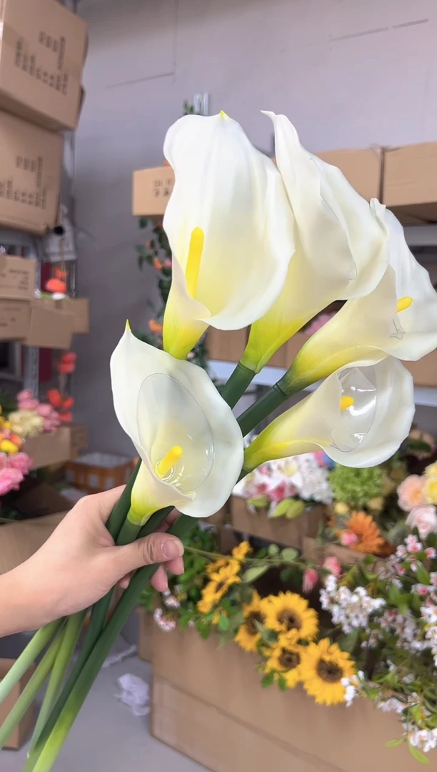 5枝白色马蹄莲组合