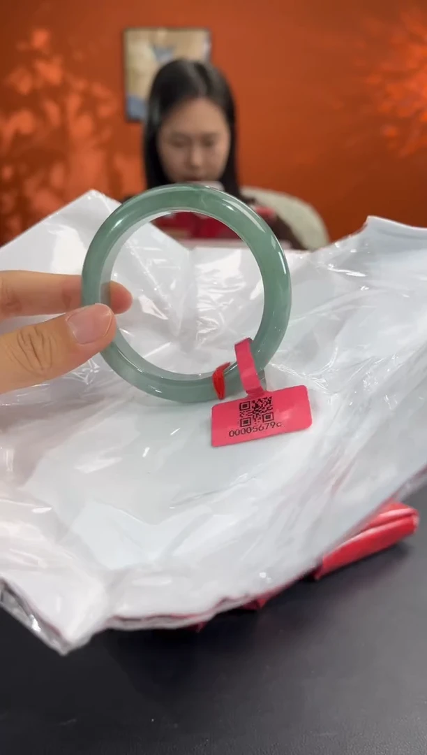 未镶嵌手镯翡翠2