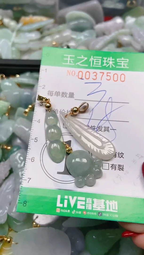 【闪购商品】翡翠颈饰未镶嵌闪购0037500