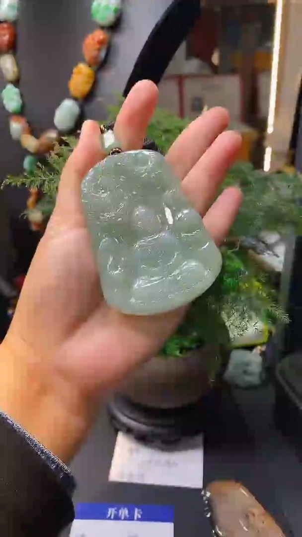 【闪购商品】翡翠颈饰未镶嵌挂件