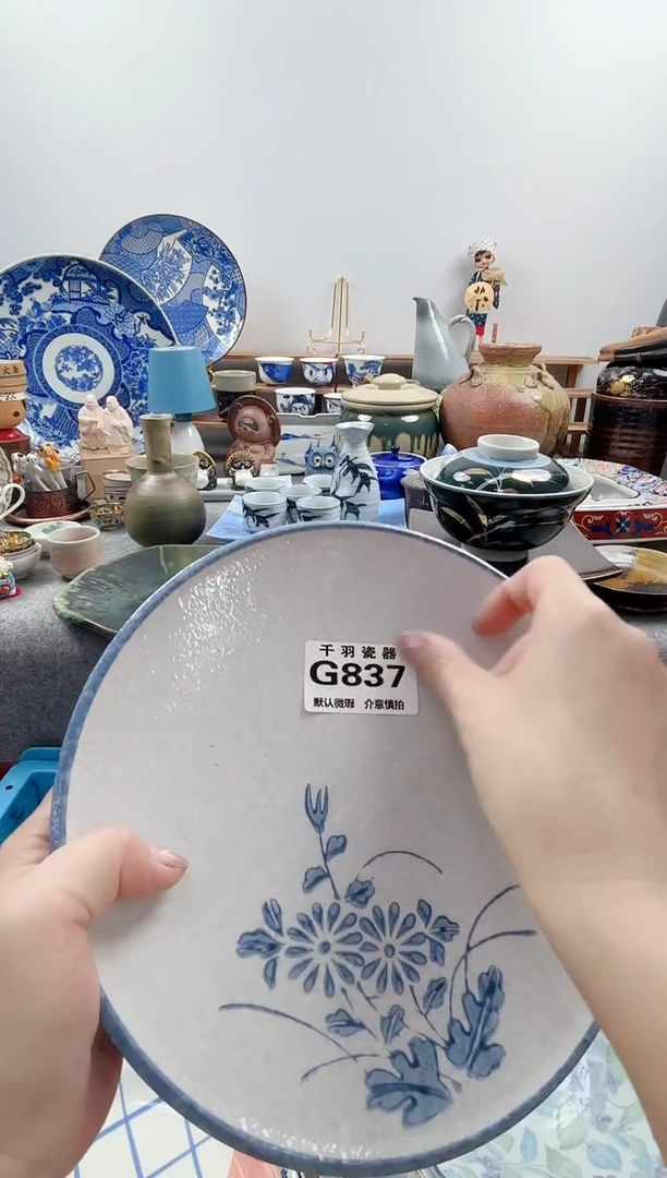 123如*千羽瓷器默认微瑕G837