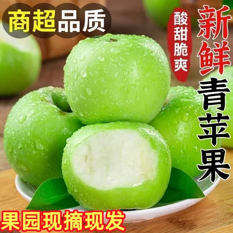 果园现摘】现摘青苹果脆甜酸苹果应当季水果小苹果