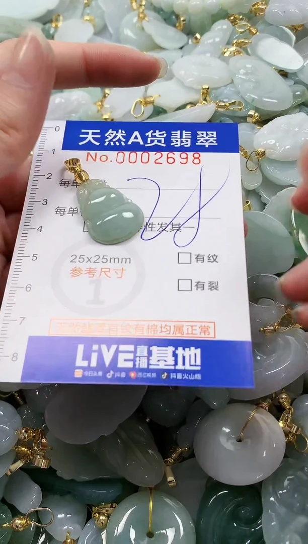 颈饰未镶嵌翡翠纯天然a货翡翠