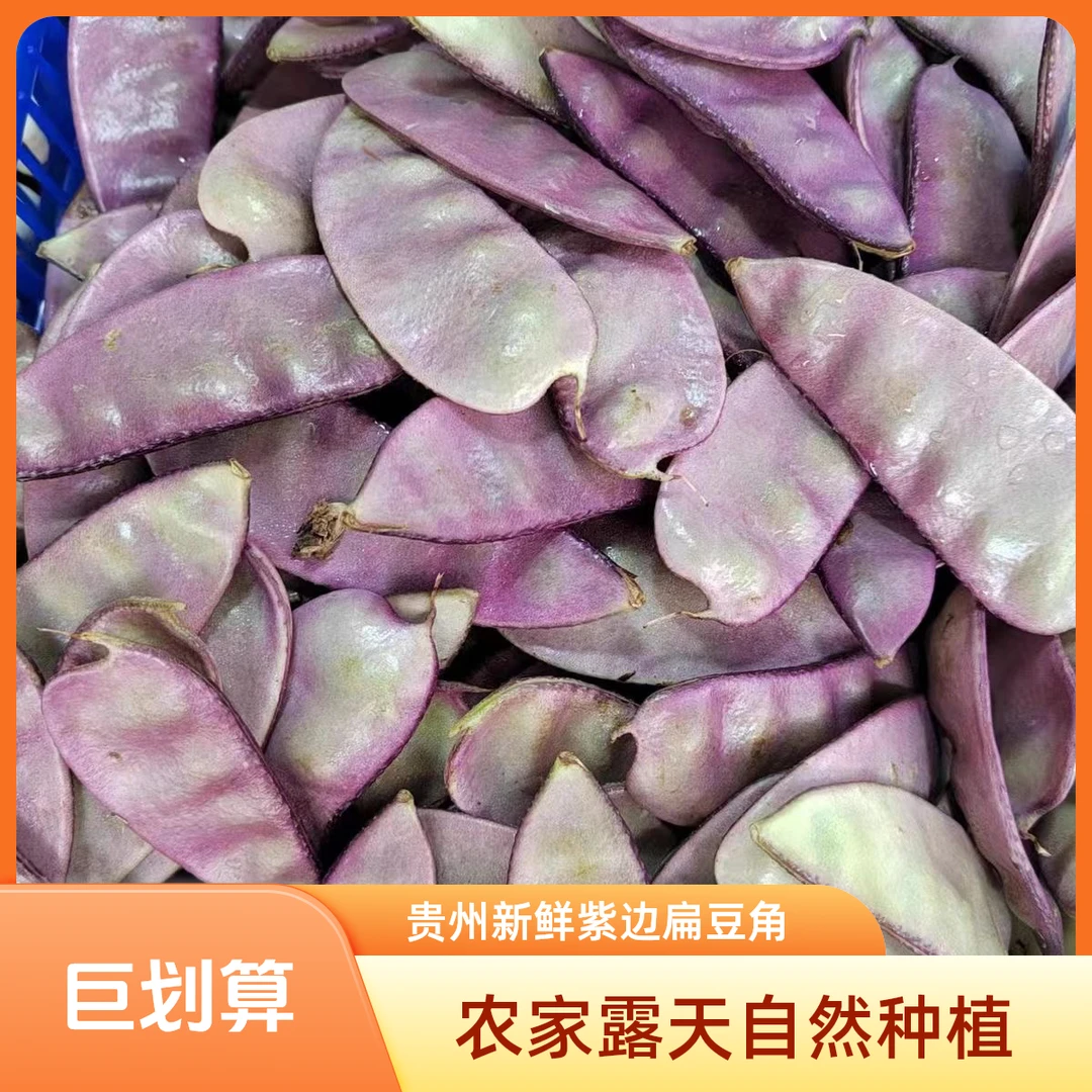 贵州新鲜紫边扁豆角猪耳朵扁豆农家露天种植蔬菜