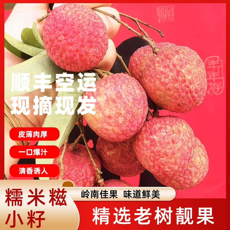 广东省内【顺丰】现摘现发广东镇隆荔枝皮薄肉厚