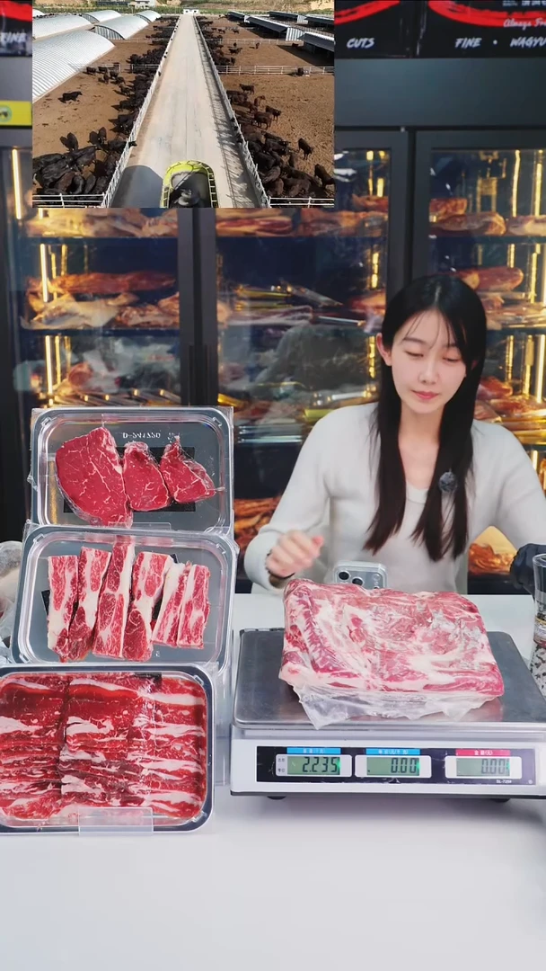 12个月中国大陆A1西冷2.2kg