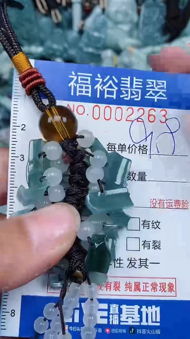 【闪购商品】翡翠颈饰未镶嵌...0002263
