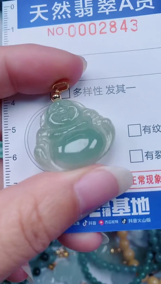 颈饰未镶嵌翡翠00002843