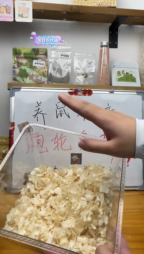 吱树白杨木大片刨花