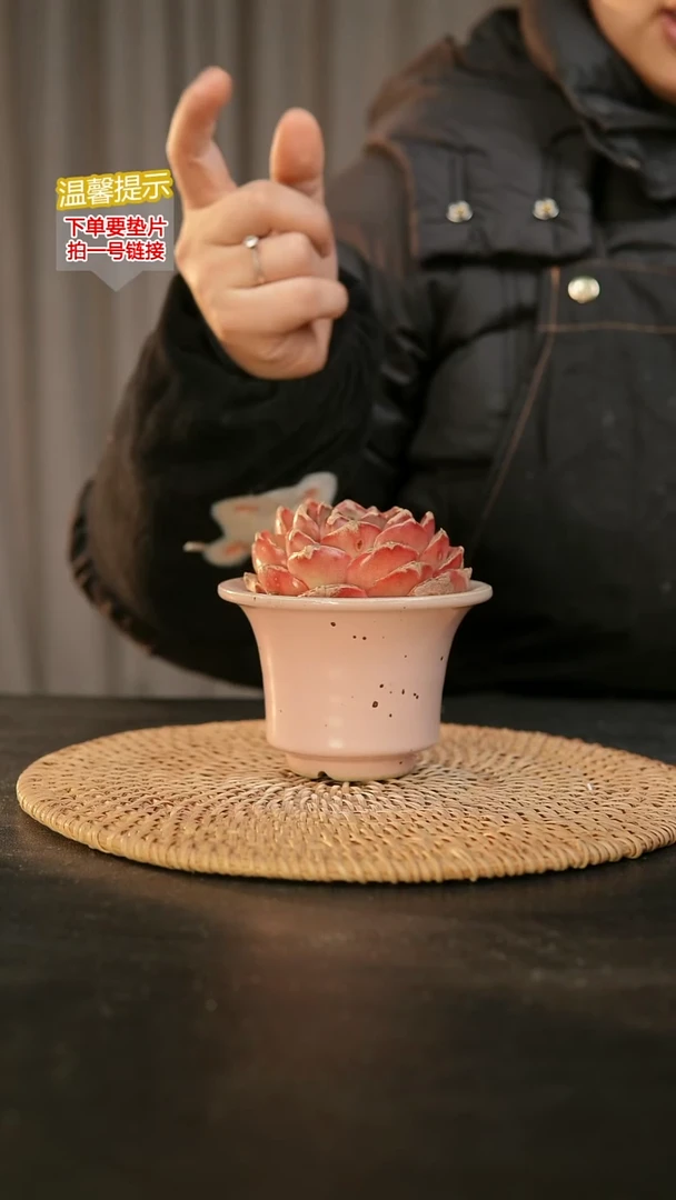 瓷片内口径约8外高约7