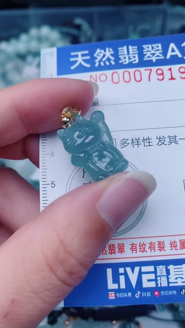 颈饰未镶嵌翡翠00007919