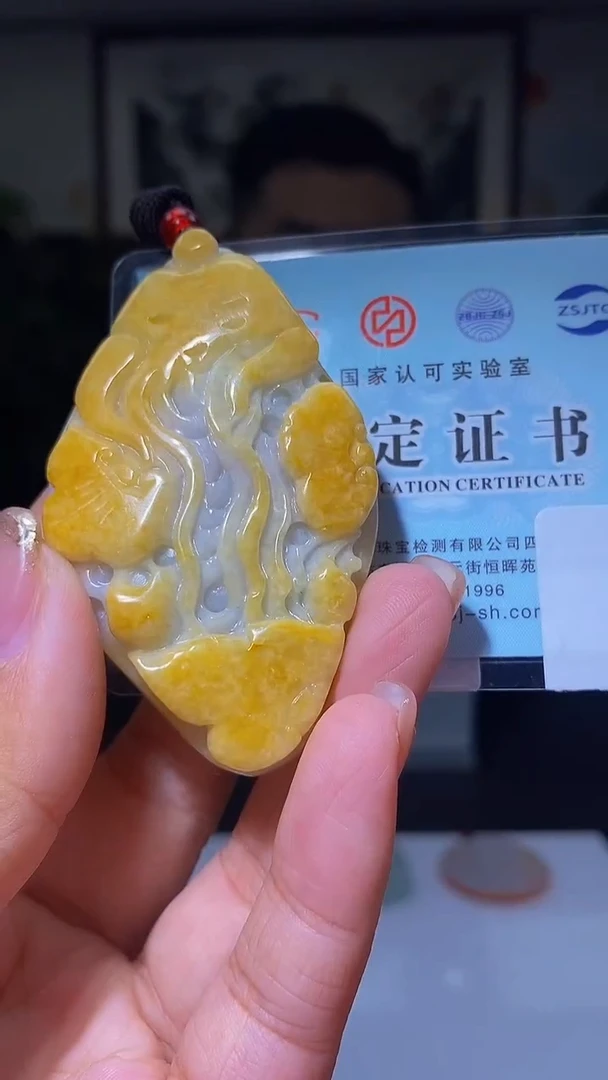 颈饰未镶嵌翡翠DD翡翠毛货HZ-03