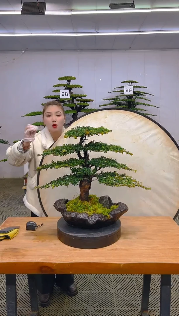 无花朵一物一拍一物一拍