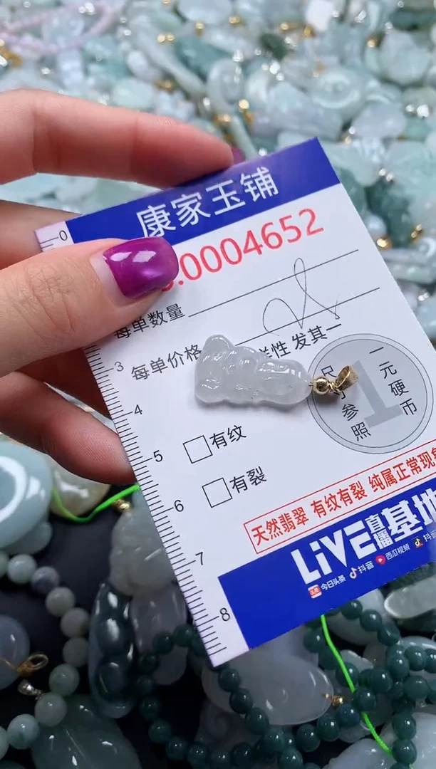 颈饰未镶嵌翡翠4652