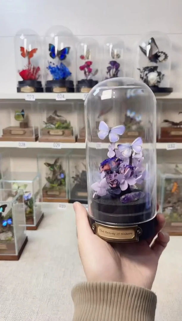 真实的大自然标本