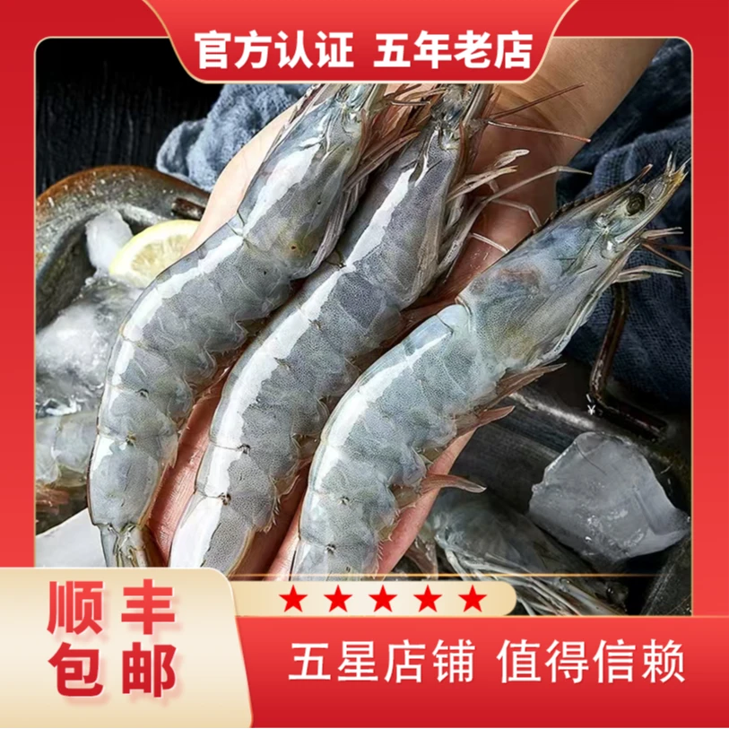 新鲜海捕大虾礼盒装13-16cm/只 12-15只/斤 速冻锁鲜 冷冻发货4斤