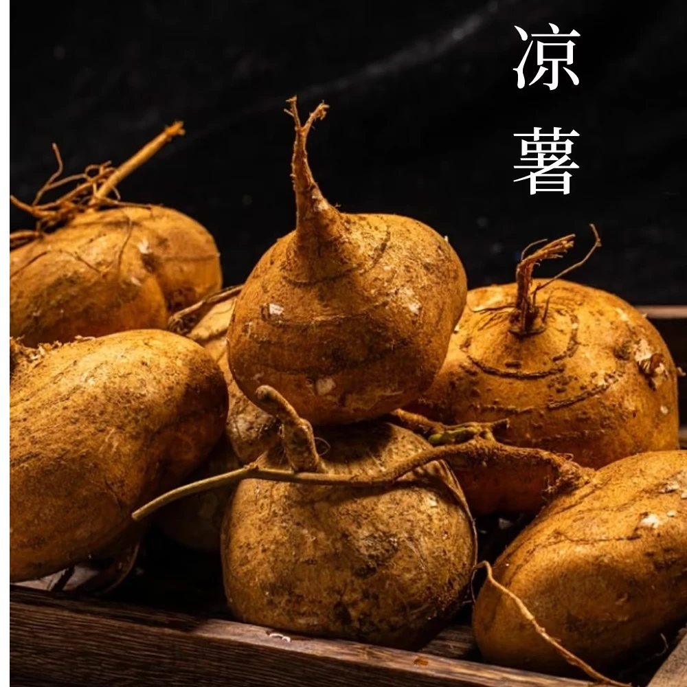 【大毛】代收农家现挖白心凉薯