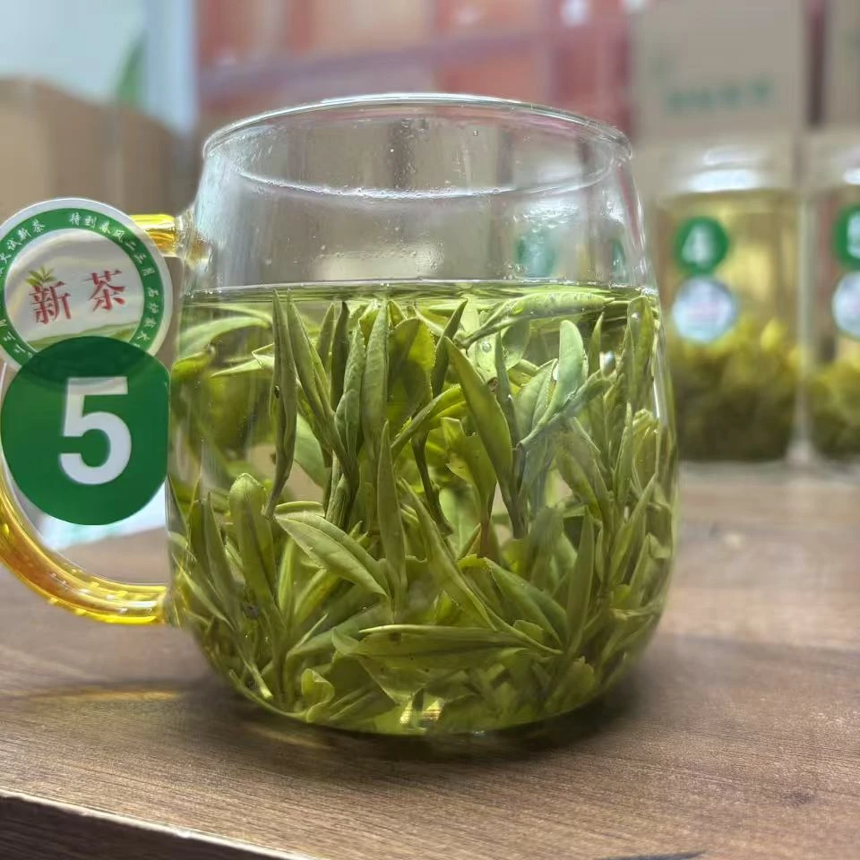 绿皖5号舒城小兰花新茶晓天茶采摘茶叶一芽二叶高山土品种好茶