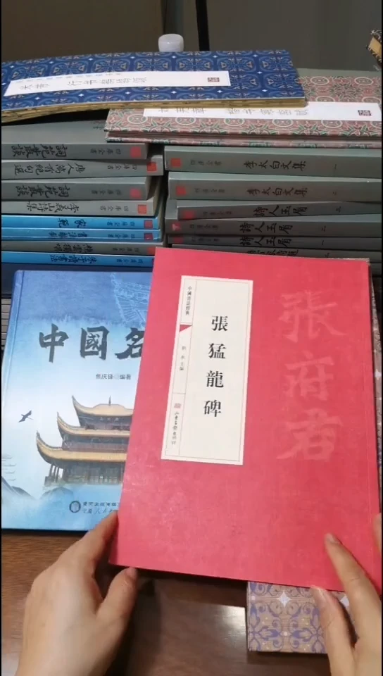 微瑕 张猛龙碑 红皮