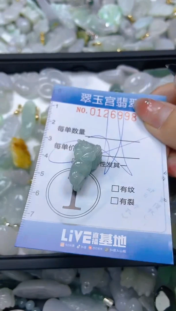 翡翠未镶嵌颈饰闪购0126998