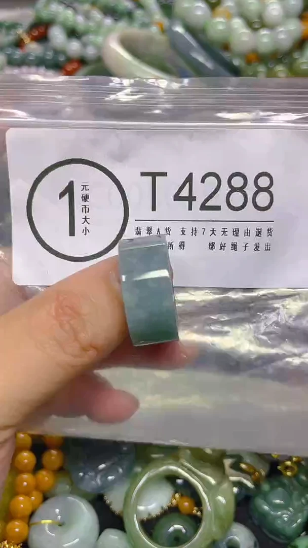颈饰未镶嵌翡翠20.1mm/ T /翡翠A货，一件也是批发价