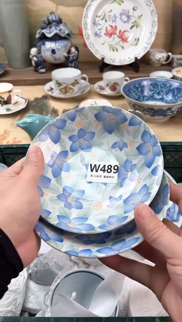 瓷片宝*489