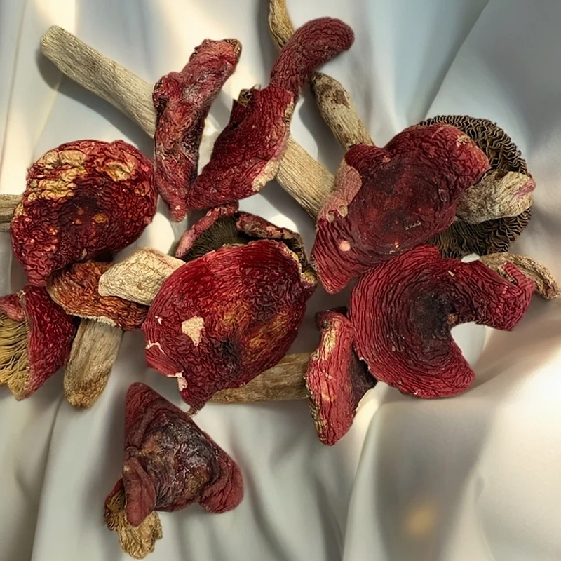 【红菇】干货深山特产煲汤鲜美月子菇福建土特产